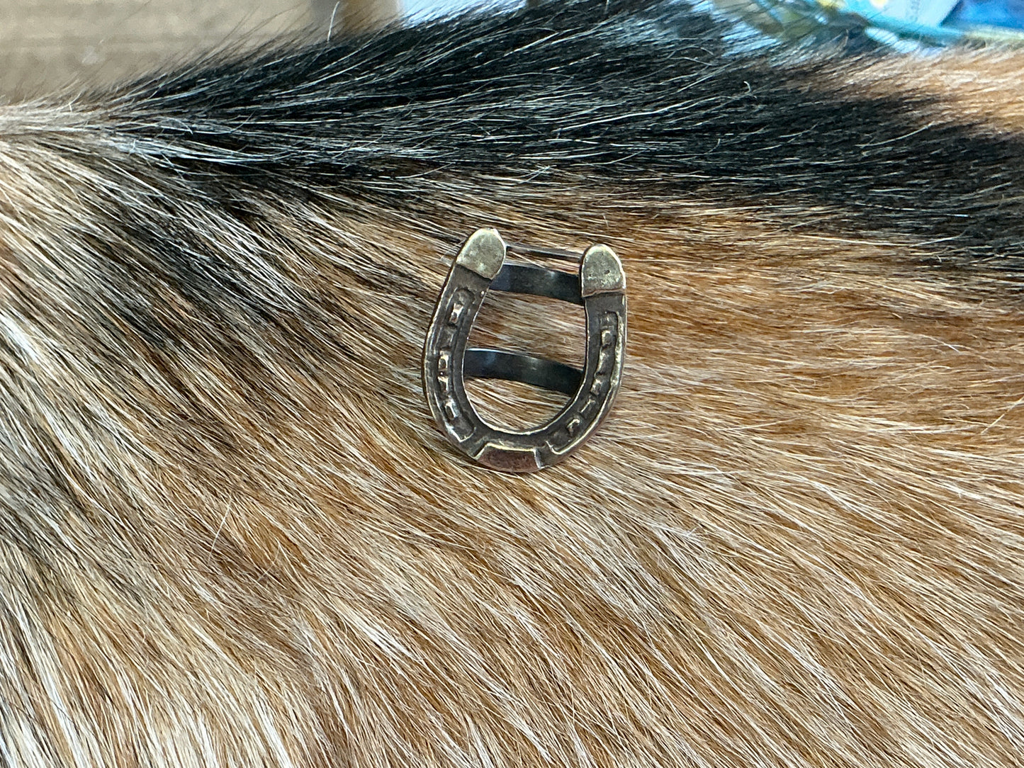 Horseshoe Scarf Slide