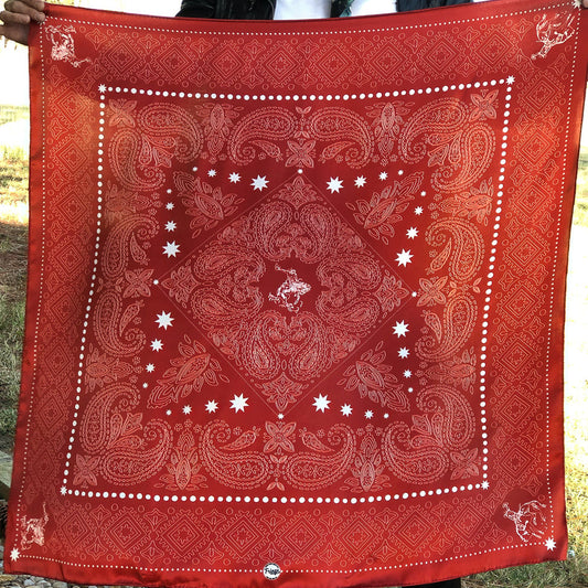 Banditos Silk Scarf